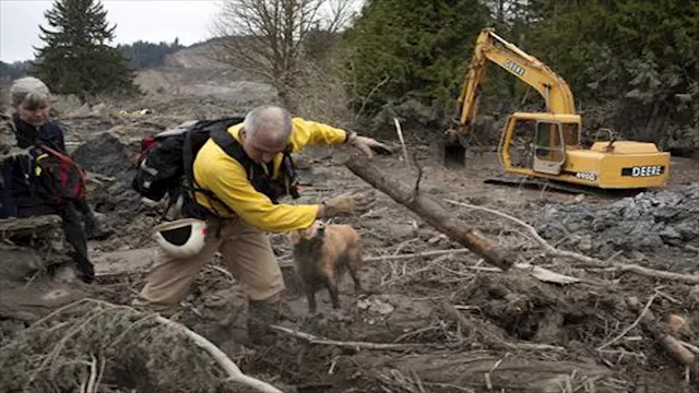 2015 11 23 10 35 16 206