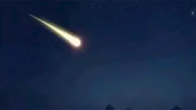 2023 10 9 14 49 10 721