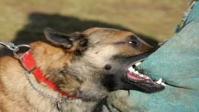 2023 5 27 10 59 26 197