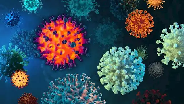 2023 8 17 19 17 3 891