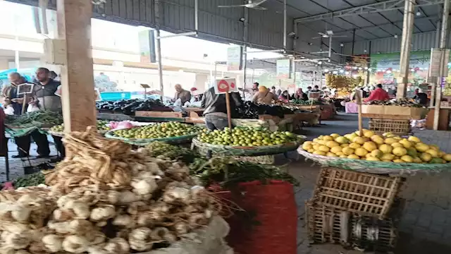 2024 12 23 13 45 14 67