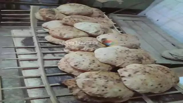 2024 6 1 14 30 3 669 1