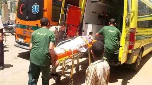 إصابة 8 أشخاص في انقلاب تروسيكل بطريق البترول ببني سويف 1 2025 10 29 18 9 11 743