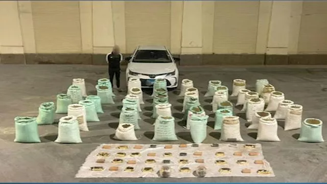 2025 11 12 12 33 9 560