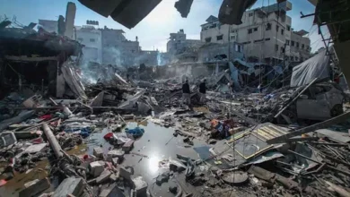 2025 11 13 10 49 15 844