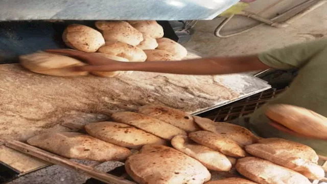 2025 11 14 14 9 19 451