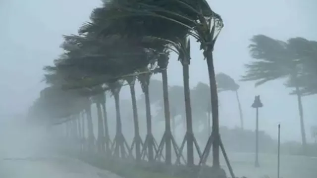 2025 11 15 17 12 6 556