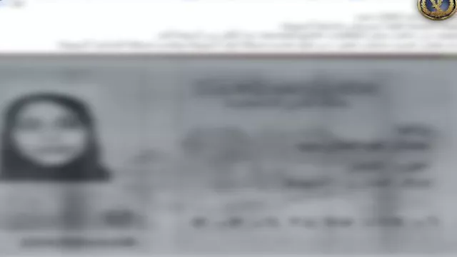 2025 11 16 23 15 31 115