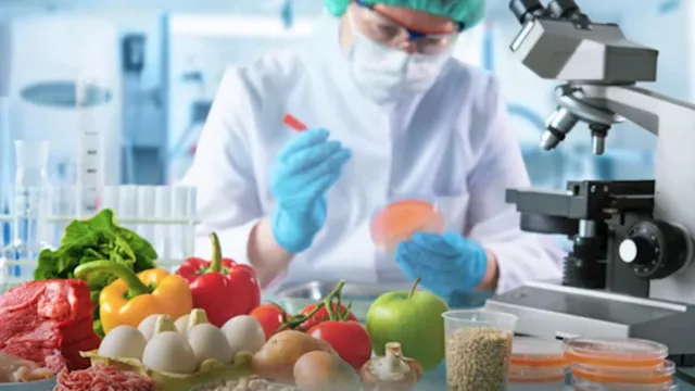 2025 11 26 0 8 3 991