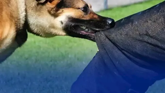 2025 11 29 19 5 30 456