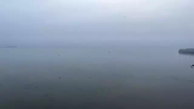 2025 1 17 10 31 16 711 1