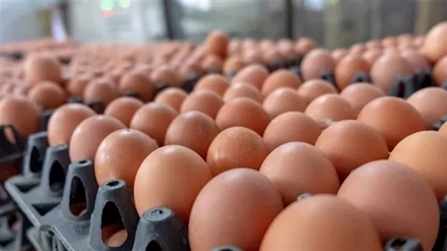 2025 6 9 13 38 11 238 3