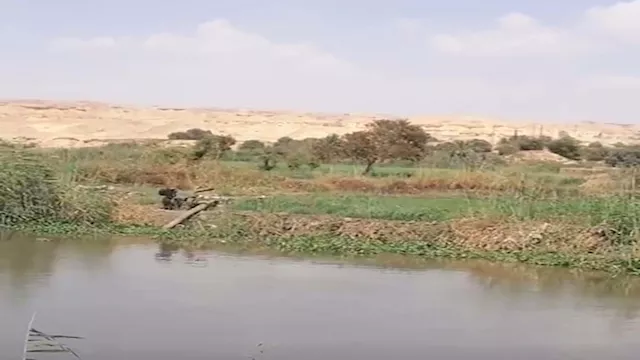 2025 7 1 17 6 37 784