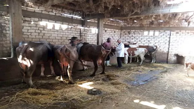 2025 9 27 13 4 8 668