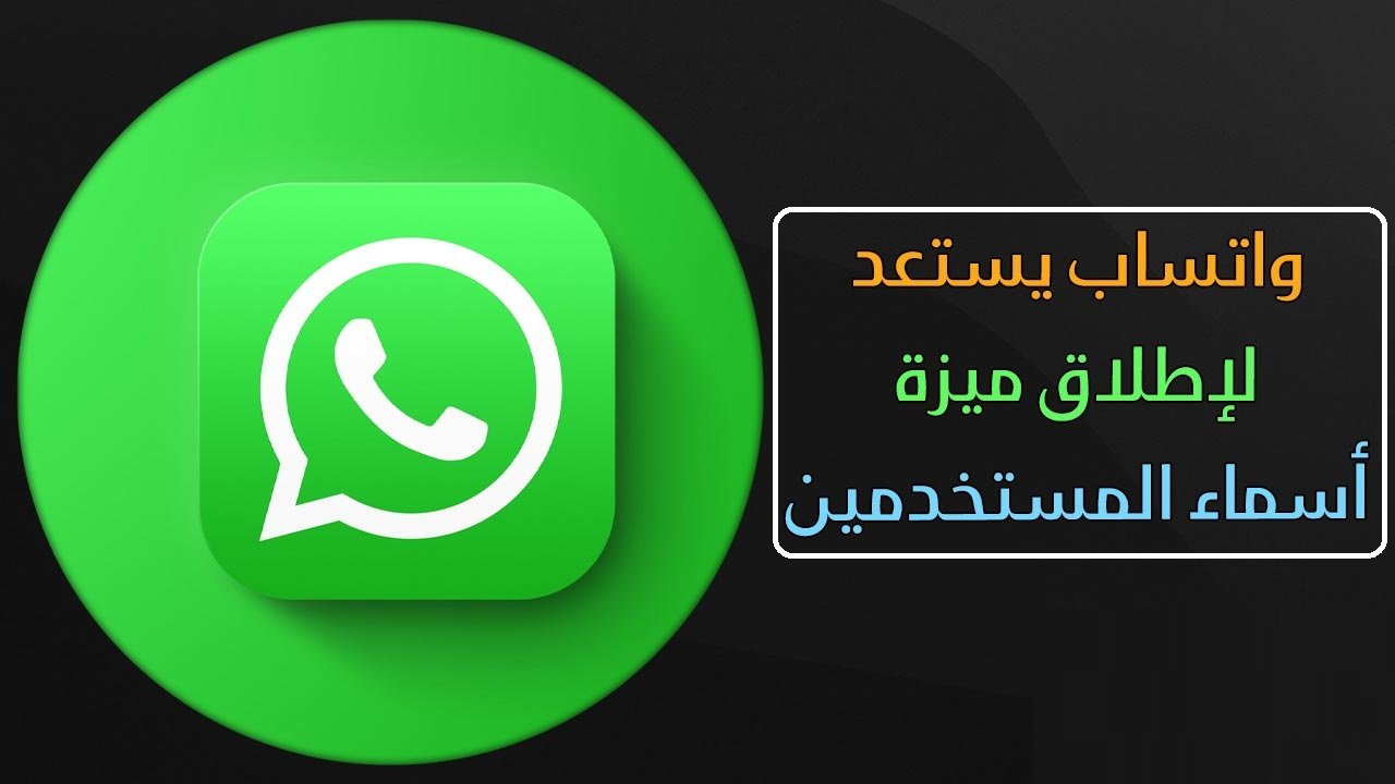 image 1763295437 IbYS