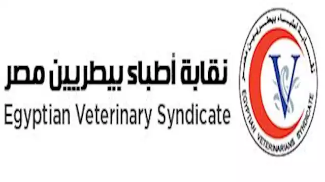 2021 3 23 0 6 39 463