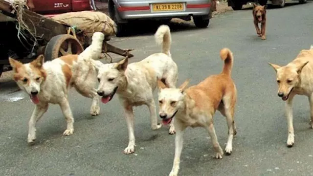 2022 5 17 14 46 23 264