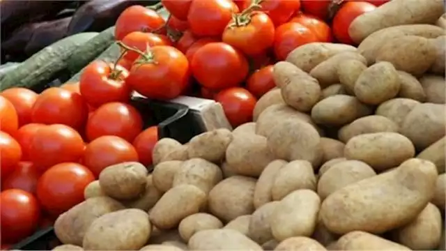 2023 11 12 15 12 8 752