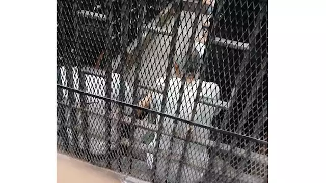 2024 11 14 22 16 11 759