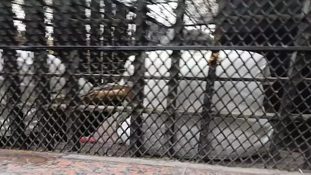 2024 11 14 22 16 1 181