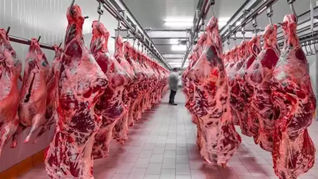 "الجزار مظلوم".. شعبة القصابين تكشف موعد ارتفاع أسعار اللحوم بالأسواق 1 2024 11 2 20 7 12 271