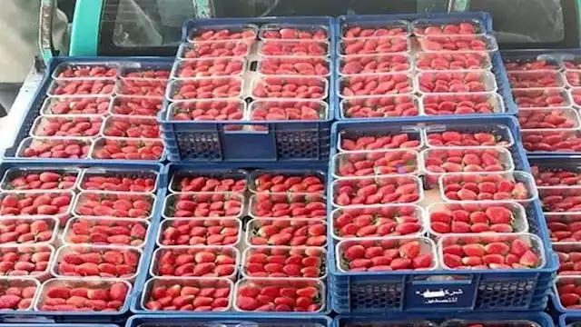 2024 12 15 11 7 28 885