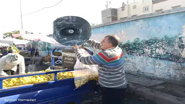 2024 12 3 21 36 9 931