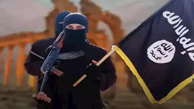 2024 12 8 13 0 6 913 1