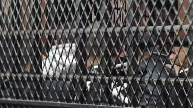 محاكمة 312 متهمًا في قضية "خلية النصرة".. الأحد 1 2024 1 17 14 44 18 571