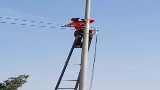 2024 8 20 15 51 11 529