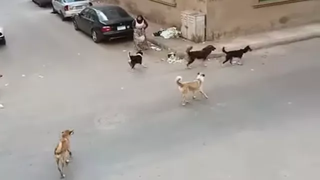 2025 10 16 13 19 10 664