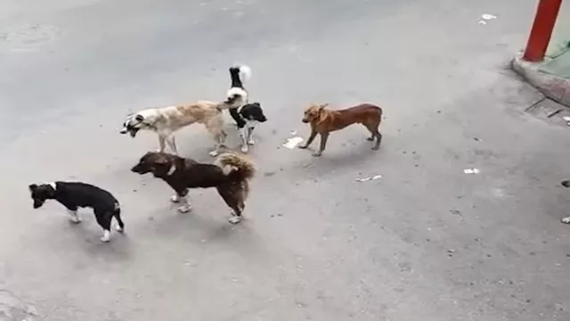 2025 10 16 13 19 13 335