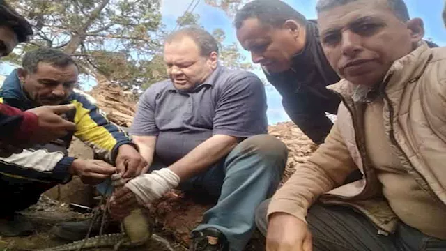 2025 12 11 12 25 52 135