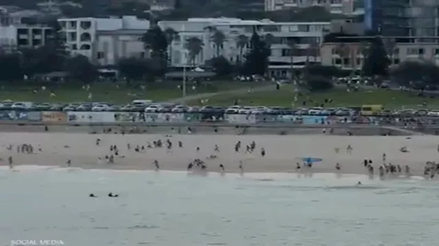 2025 12 14 14 41 0 63