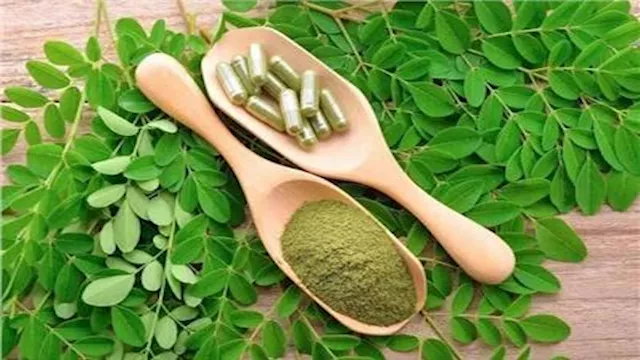 10 قطرات مرتين يوميًا.. تعرف على فوائد "المورينجا" للأطفال 1 2025 12 15 20 30 26 696