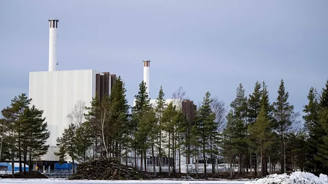 2025 12 23 8 19 44 353