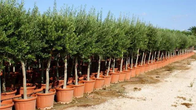 2025 12 2 21 33 15 889