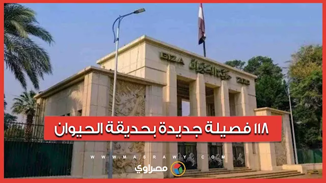 2025 12 4 10 27 50 590