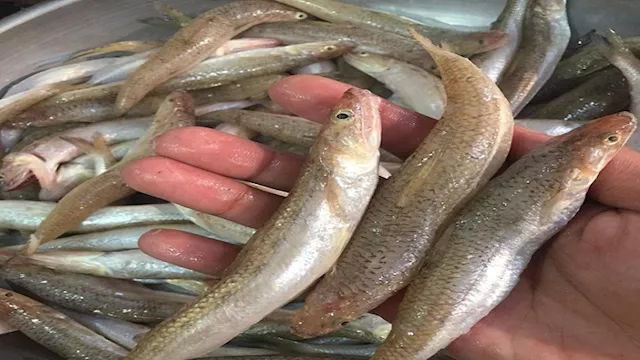 2025 12 4 10 32 40 857