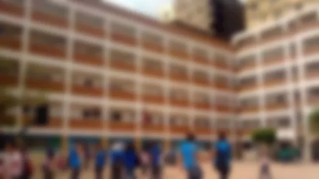 2025 12 4 12 7 3 466