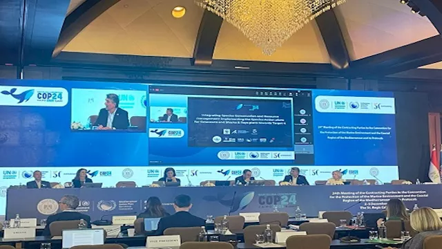 2025 12 4 9 3 36 417