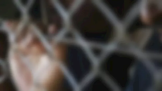 2025 12 7 19 23 52 942