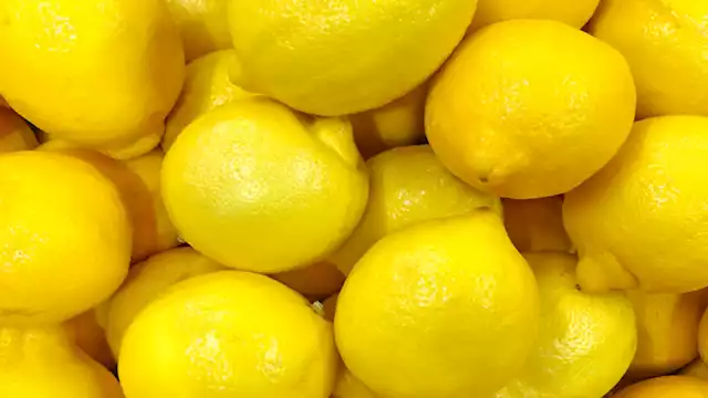 2025 1 13 12 55 12 455