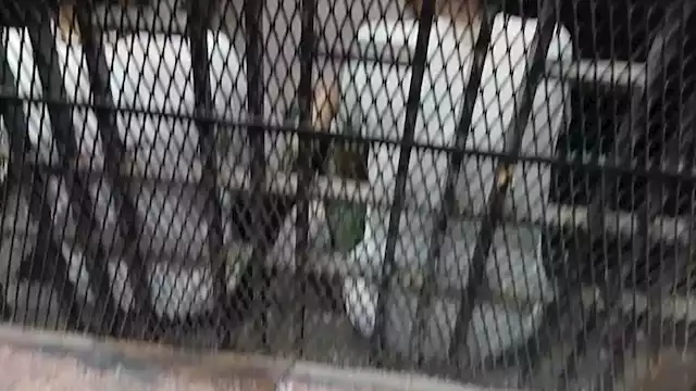 اليوم.. محاكمة نجل عبدالمنعم أبوالفتوح بتهم الانضمام لجماعة إرهابية ونشر أخبار كاذبة 1 2025 1 17 22 59 23 640 2