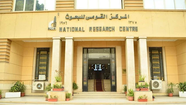 مواد مستوردة من الخارج.. دراسة تكشف أسرار جديدة التحنيط بسقارة 1 2025 3 31 21 29 47 443