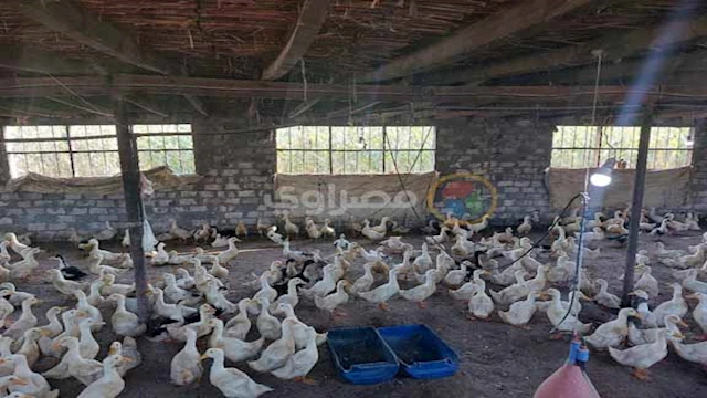 2025 4 27 11 31 49 179