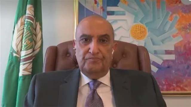 ماجد عبدالفتاح: تحريك مسار تجميد مشاركة إسرائيل بالأمم المتحدة يتطلب توافقًا دوليًا،... 1 2025 9 22 20 45 33 992