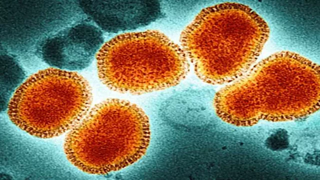 الصحة تكشف عن ترتيب الفيروسات التنفسية الأكثر انتشاراً في الشتاء 1 2025 9 6 14 18 33 980