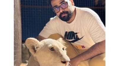 image 1764759656 jykF 400x223 1