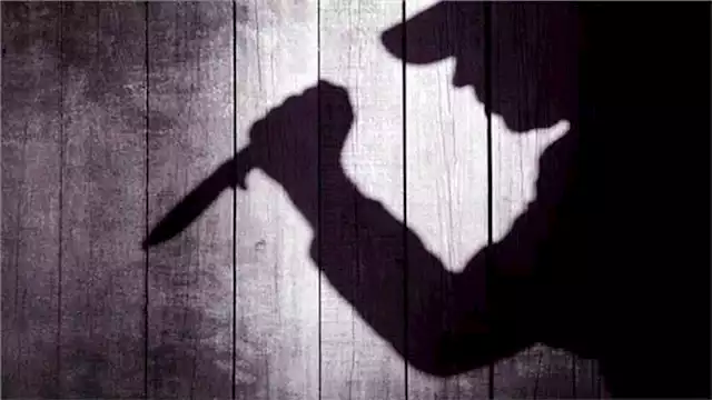 2023 8 16 20 28 39 698